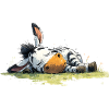 Schlafendes Zebra