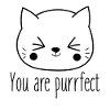 You're just perfect cat lover