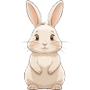 Cute Bunny Cartoon Illustration