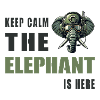Reste calme, l’éléphant est là