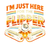 Pinball Pinball Player her For The Pinball Player