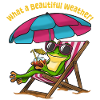 Frog in beach deck chair