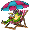Summer frog on the beach