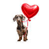 Dachshund Heart Balloon
