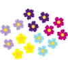 Colourful Primroses February Birth Flower Birthday