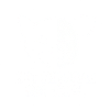 Cat Pig