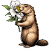Marmot : Vas-y, renifle, continue
