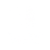 Dog Pig