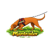 Mantrailer Dog Sniffer Dog Maintrailing