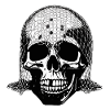 Skull with net veil