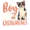 Chihuahua Chihuahueño Boy Just A