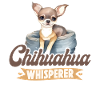 Chihuahua Chihuahueño Chihuahua