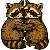 Two raccoons hug