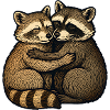 Embraced raccoon friendship