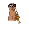 Can't hear you trumpet player