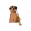 I play trumpet player