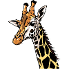 Girafe