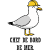 Mouette Ouvrière au Casque Jaune