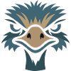 Nandu, Straußenkopf  Emu