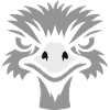 Nandu, Ostrich Head Emu