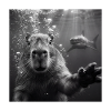 Capybara Selfie Underwater with Shark