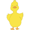 Duck funny