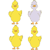 Four ducks one purple