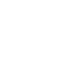L’Amérique était déjà grande