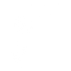 Dandelion - Minimalist Nature Design