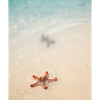Liebe am Strand und Seesterne