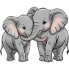 Couple d’éléphants pour la Saint-Valentin