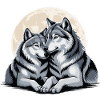 Couple de loups Amour Saint-Valentin