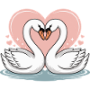 Love Wins - Swans Valentine's Day