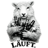 Sheep with beer bottles – Running.