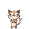 Coole Katze NÖ lustiger Spruch grummelig
