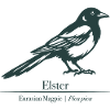 Magpie Silhouette | Ornithology | Drawing