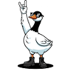 Goose Rock Music Fan Gift Idea