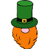 Green Leprechaun Hat