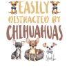 Chihuahua Chihuahueño Easily