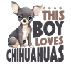 Chihuahua Chihuahueño Boy This Boy