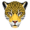 Jaguar Colombie