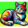 chat