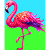flamingo