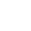 BORN TO RIDE (cheval)
