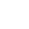 Ant