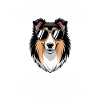 Long-haired collie sayings long-haired collie gift