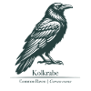 Raven Silhouette | Ornithology | Drawing