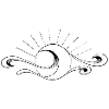 Supernova II