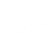 Supernova 
