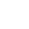 Équipe Dinosaure Volant